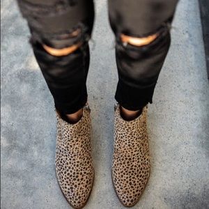 Bengal Faux Suede Zip Booties *Never Been Worn*